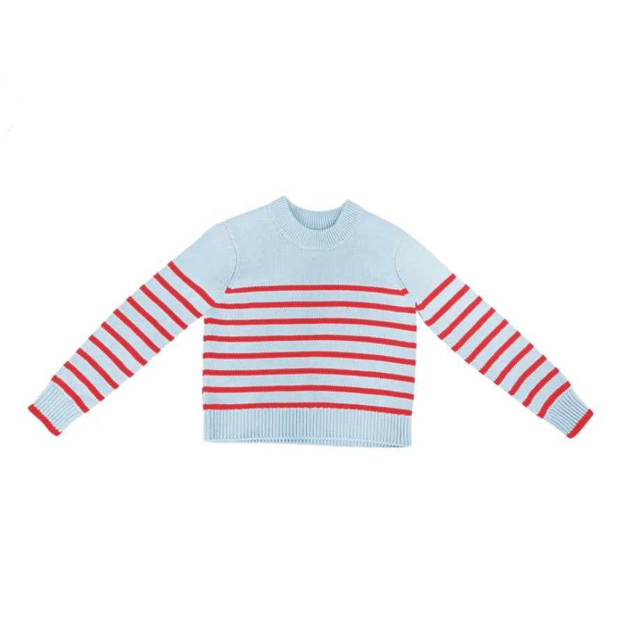 Light Blue/Berry Stripe Sweater