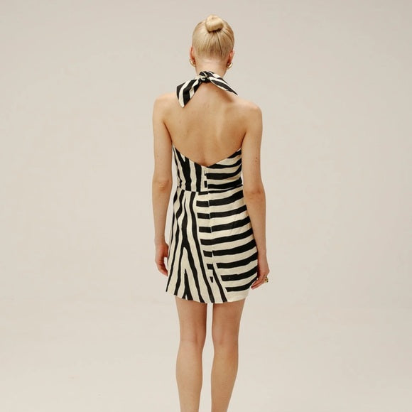 Zebra Veneta Dress